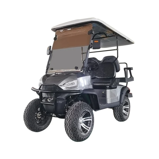 DOT aprovado pára-brisa Ds carrinho de golfe acrílico dobrável de alta qualidade